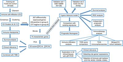 Exploration of the Immunotyping Landscape and Immune Infiltration-Related Prognostic Markers in Ovarian Cancer Patients